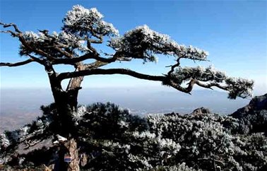 泰山风光